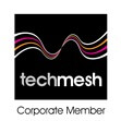 Techmesh logo