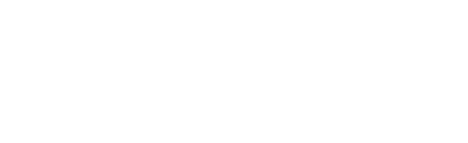 Core Telecom – Global Carrier